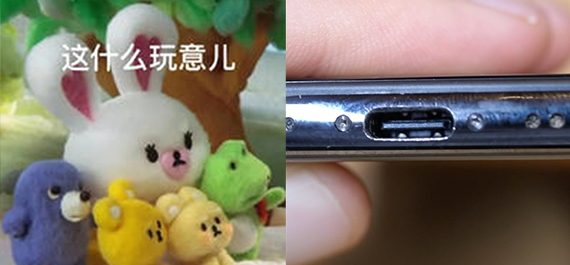 Type-C 接口 iPhone 大受歡迎！第一臺賣出 54 萬元